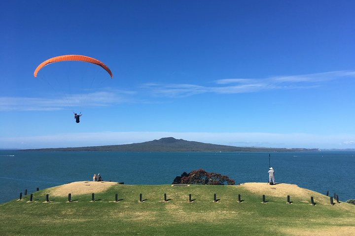 View of paragliders and Rangitoto from North Head